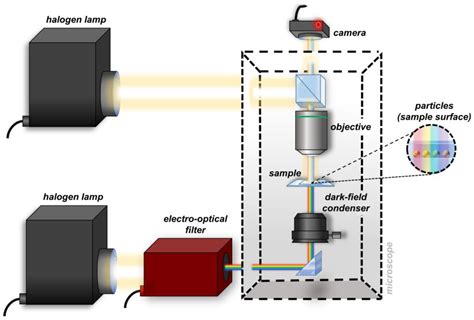 Spectrophotometry 